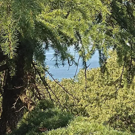 Pecine Апартаменты *